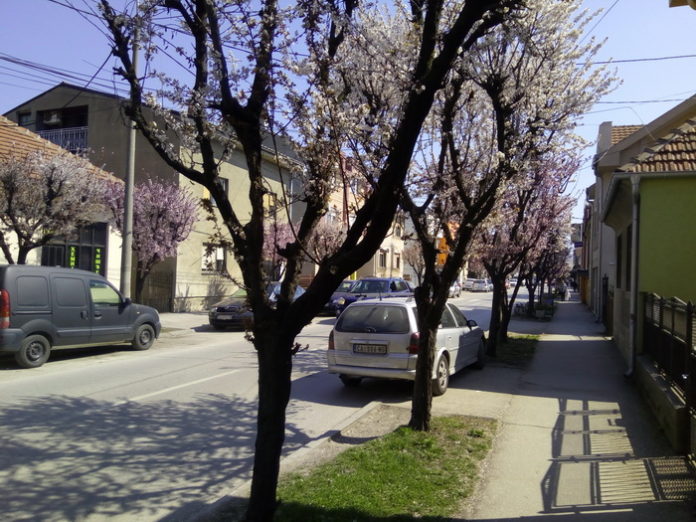 Panorama Cacka - Budjenje proleca 2