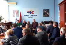 U Čačku konstituisan novi Izvršni odbor Nove Srbije
