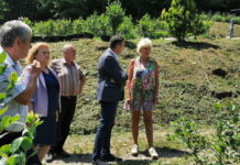 Iz Beograda došla u okolinu Milanovca da gaji borovnice