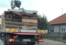 Poledica zatražio zvanične informacije o prevozu drva pauk-vozilom “Parking servisa“