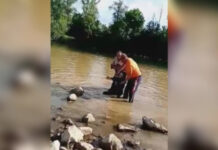 Žena skočila sa mosta u Moravu, izvukli je radnici koji rade na reguilaciji korita reke