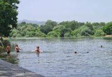 Rečni rakovi ponovo se pojavili u Moravi
