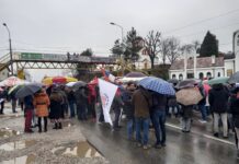Savez ekoloških organizacija Srbije za 3. januar najavio tročasovne blokade puteva