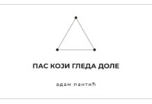 Otvaranje izložbe “Pas koji gleda dole“ u Galeriji “Risim“