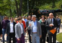 Brnabić: Moj brat gradi hotel u Ovčar Banji? Laž bez zrna istine