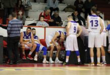 Dobra partija Krsmanovića nedovoljna za pobedu Žela u Arilju