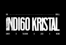 Novi domaći film “Indigo kristal“ u Kulturnom centru Čačak