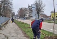 Čačak među gradovima koji će od resornog ministarstva dobiti sredstva za pošumljavanje i ozelenjavanje