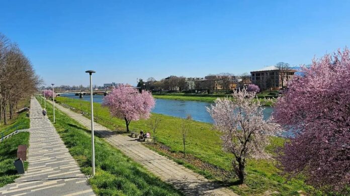 Panorama Cacka 23 - Prolece kej bedem Morava Darko Vasilic