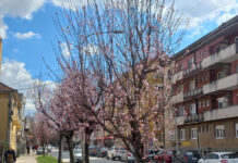 Evo kakvo nas vreme očekuje do Vaskrsa