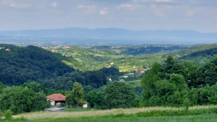 Selo - Trnava Darka Simeunovic