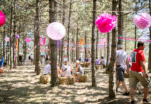 Objavljena satnica festivala Mountain Music Fest na Divčibarama