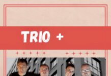 Pop-rok hitovi u verziji čačanskog sastava “Trio+“ večeras u Atrijumu Kulturnog centra