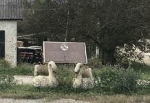 Ibarska magistrala odnela desetine života u Mojsinju: Meštani traže da se spreči divljanje vozača