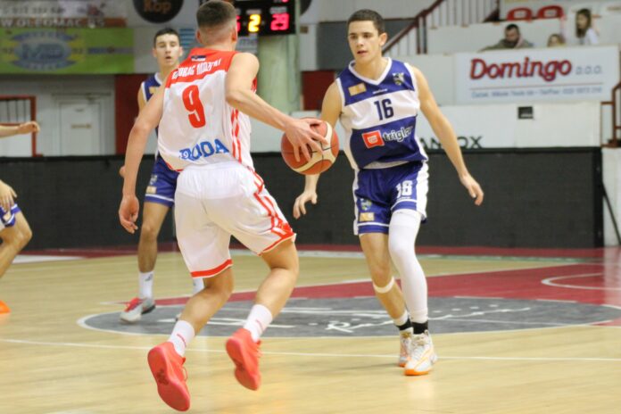 Aleksa Obrenic - Mladost