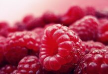 Glamočić najavio mere za zaštitu srpske maline i stabilnost tržišta