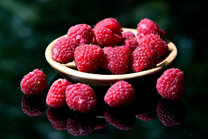 Maline - Pixabay 2