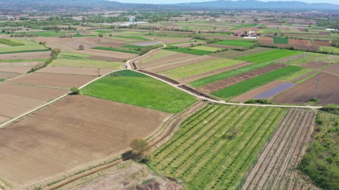Botunja 1 - Viljusa poljoprivreda njive