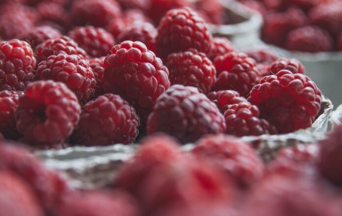 Maline - Pixabax 24 2