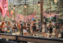 Počela prodaja jednodnevnih karata za Mountain Music Fest na Divčibarama