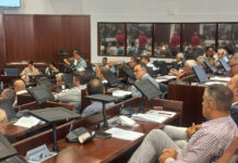 Formirano pet odborničkih grupa, evo ko su šefovi i njihovi zamenici