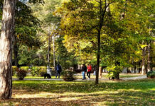 I ove godine “Jesenja promenada“ za predškolce u gradskom parku