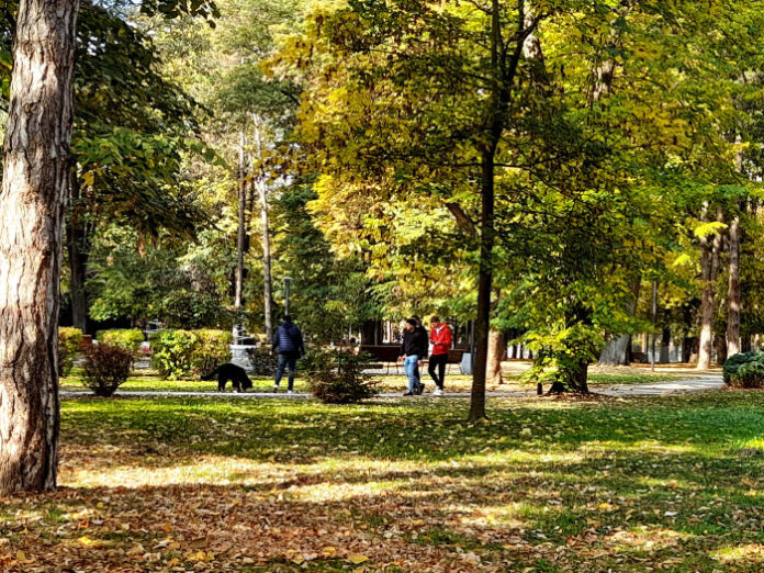 Panorama Cacka - Park jesen 24 Gordana Pejic