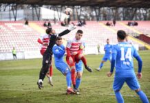 Goleada u Novom Sadu donela novi poraz Borcu 1926