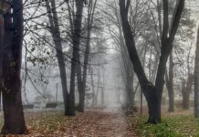 Zahlađenje oko 20. novembra, kada se očekuje sneg?