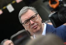 Vučić reagovao na pretnje ekološke aktivistkinje Ljiljane Bralović u Čačku