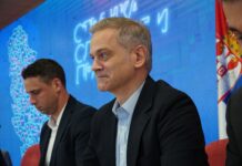 Borko Stefanović u Strazburu: U Srbiji se širi spirala nasilja, Vučić dovodi zemlju na rub ponora