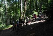 Dani planinara Srbije od 13. do 15. juna u Arilju