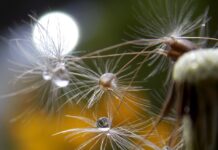 Izložba fotografija “Mala ogledala“