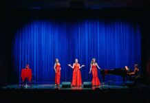 Besplatna predstava “Cimet i vanila“ u Kulturnom centru