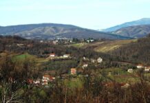 Kako su Sokolići postali izuzetak među selima u Srbiji