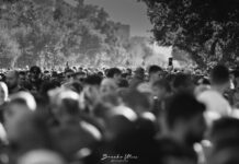 Komemorativni skup u Novom Sadu kroz objektiv Branka Utvića (FOTO)