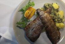 “Jelički vrt“ za vas priprema riblje specijalitete za Nikoljdan