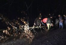 Predstavnici gradskog rukovodstva odsekli badnjak u Gornjoj Trepči