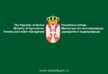 Oglasilo se ministarstvo nakon propalih pregovora sa poljoprivrednicima: Proizvođači mleka u Srbiji imaju najveće podsticaje na svetu