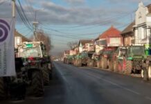 Blokadi proizvođača mleka u Mrčajevcima pridružili se povrtari iz Zablaća