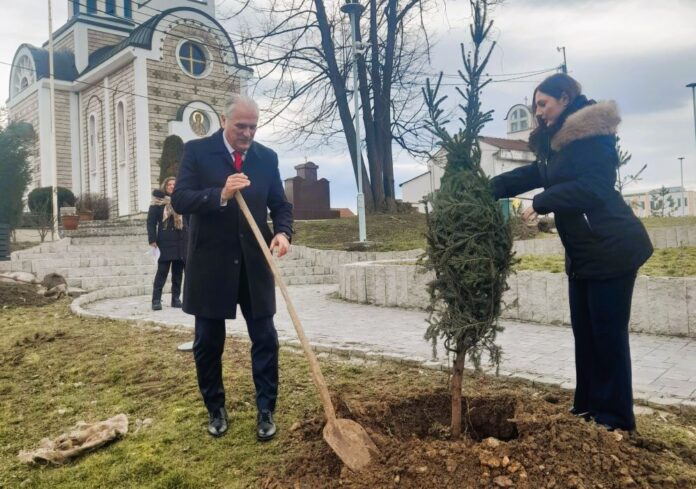 Ozelenjavanje Atenica