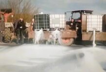 Proizvođači mleka blokirali Ibarsku magistralu u Mrčajevcima i prosuli tone mleka