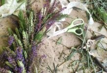 Dečja radionica “Cveće na dar“