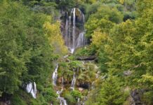 Putopis: Prolećna čarolija Srbije – od slapova Sopotnice do moćnog Dunava