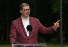 Vučić: Nekoliko tačaka sporenja u pregovorima o NIS-u, nećemo dozvoliti da Mimović kupi udeo u kompaniji