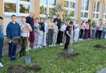 Učenici OŠ “Preljina“ zasadili drvored prijateljstva