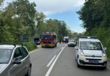 Muškarac izgoreo u automobilu na putu kod Pakovraća