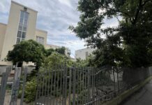 Olujno nevreme pogodilo Čačak, u dvorištu OŠ “Milica Pavlović“ pao veliki deo drveta