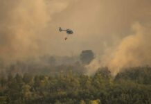 Čačanski vatrogasci gase požar na Stolovima, usporeno širenje vatre