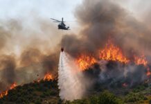 Evropska unija šalje Srbiji pomoć u borbi protiv požara